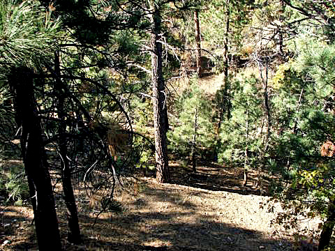 Big Bear Getaway 54 outside