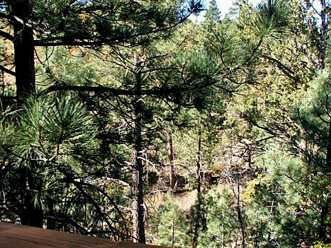 Big Bear Vacation Rental Home outside