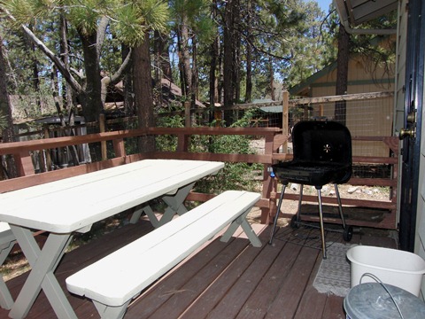 Big Bear Getaway outside