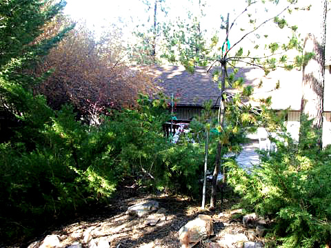 Big Bear Vacation Rental Home outside