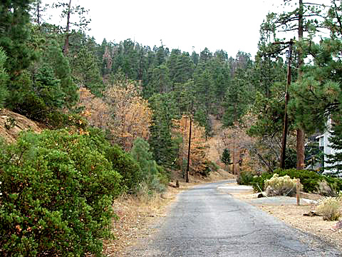 Big Bear Getaway 63 outside