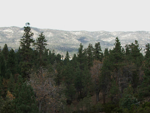 Big Bear Getaway fireplace