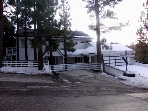 Big Bear cabin 86 outside